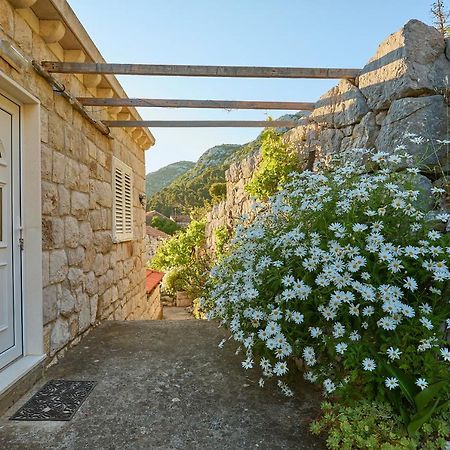 Apartments Baro Maranovići Εξωτερικό φωτογραφία