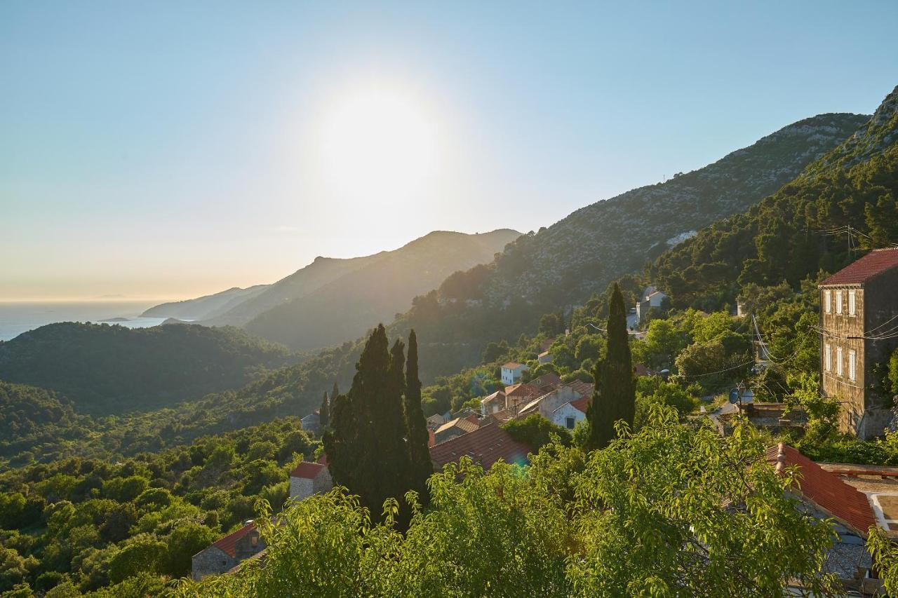 Apartments Baro Maranovići Εξωτερικό φωτογραφία